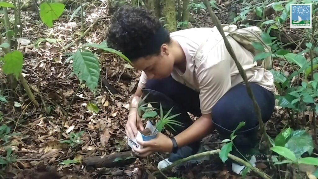 Foto de uma pessoa abaixada mexendo no mato