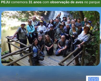 PEJU comemora 31 anos com observação de aves no parque