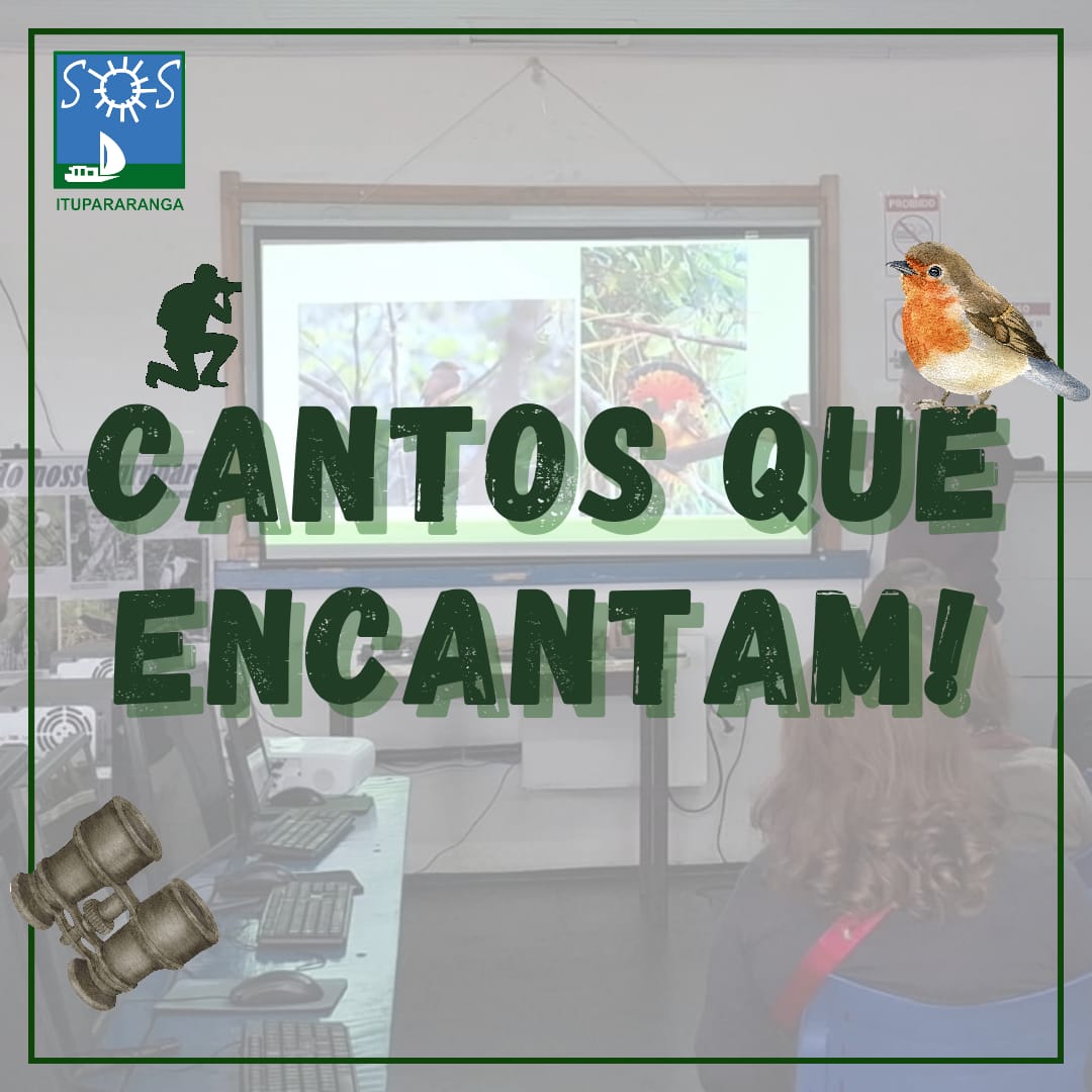 Cantos que encantam