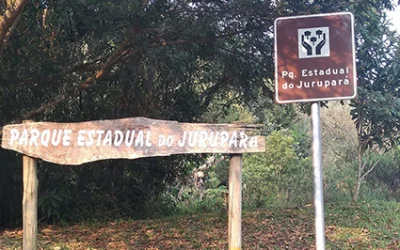 _Jurupara