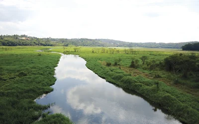 _SOROCABA