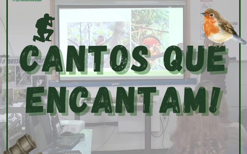 Cantos que encantam