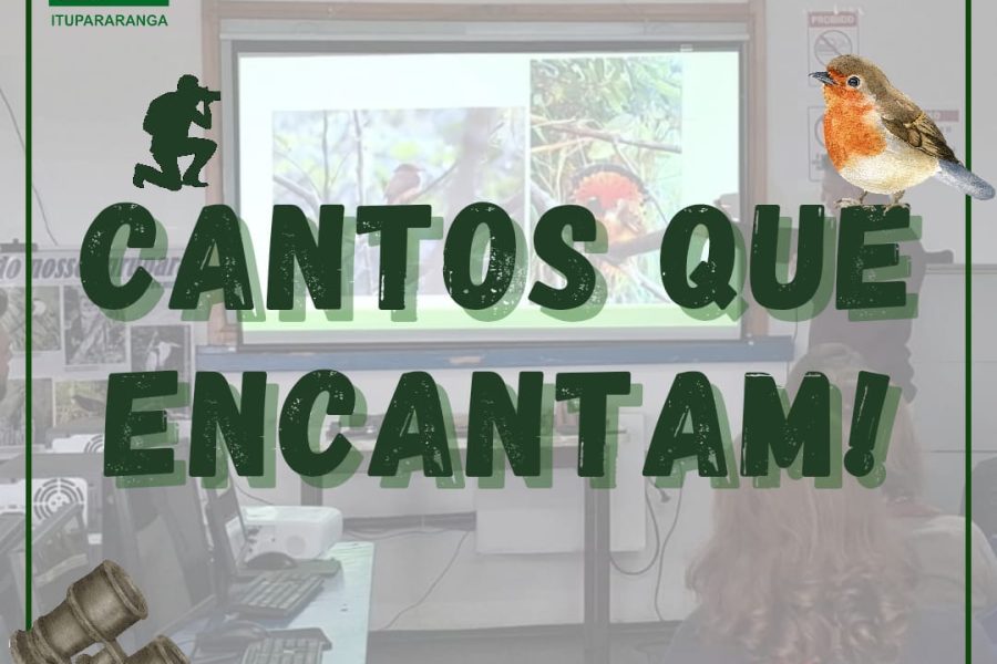 Cantos que encantam