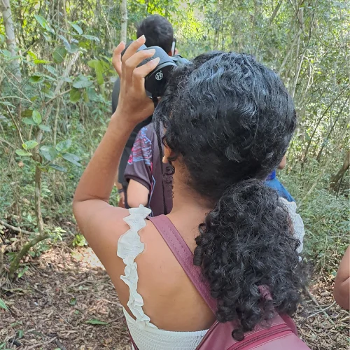Educação Ambiental