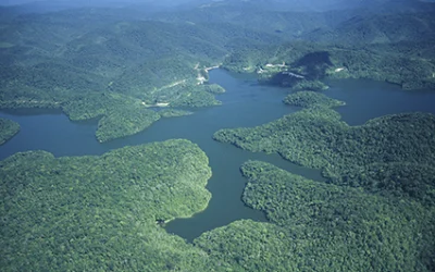 vistaAerea